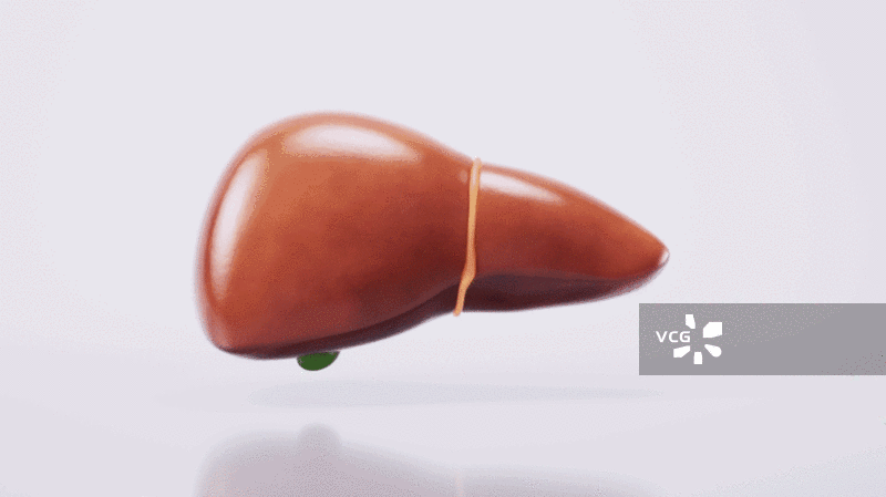 脂肪肝与生物医学3D渲染图片素材