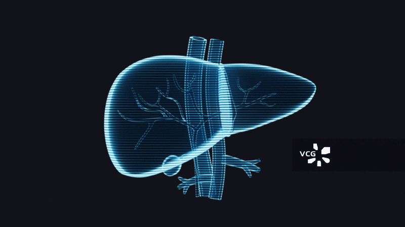 肝脏器官与生物医学循环动画3D渲染图片素材