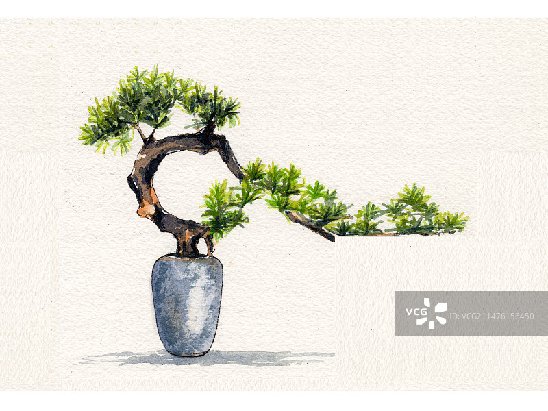 中式盆景造型图片素材