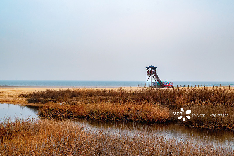 山东日照海滨国家森林公园沙滩湿地图片素材