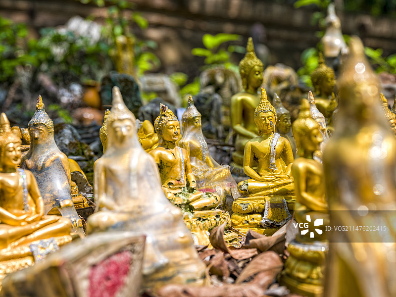 泰国清迈乌蒙寺图片素材