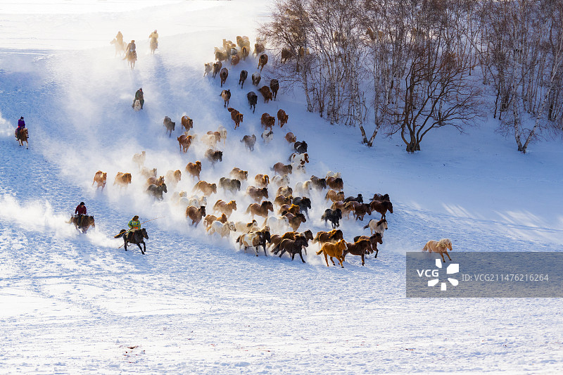 马踏飞雪图片素材
