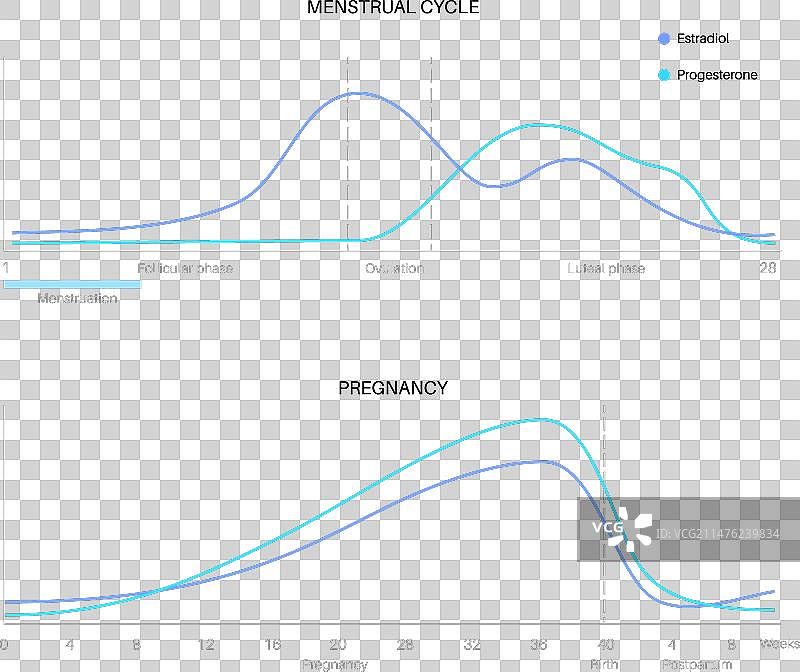 怀孕期间的激素图片素材