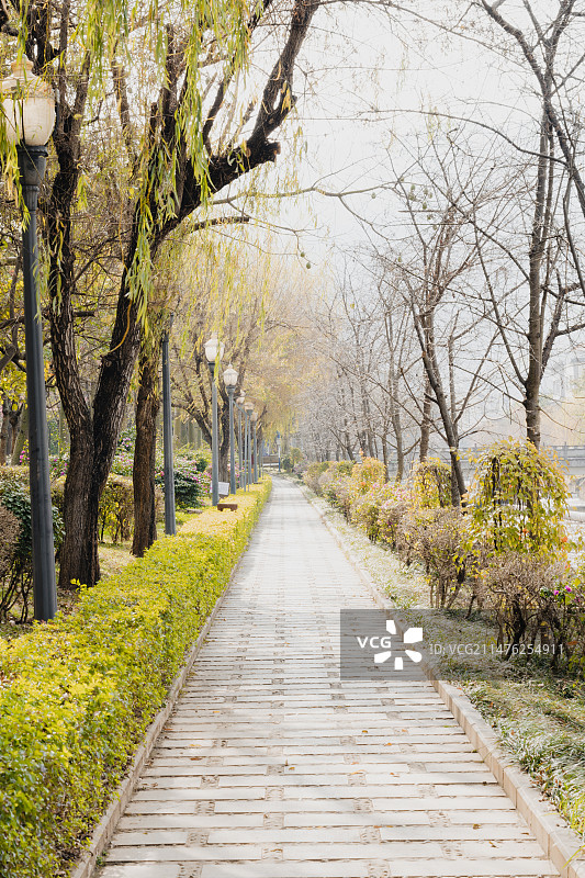 河边栈道图片素材