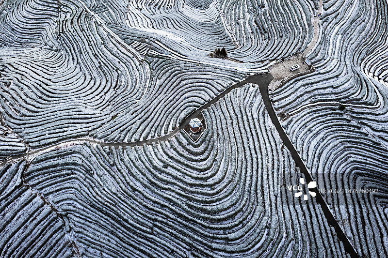 茶平乡万亩茶园雪景航拍图片素材