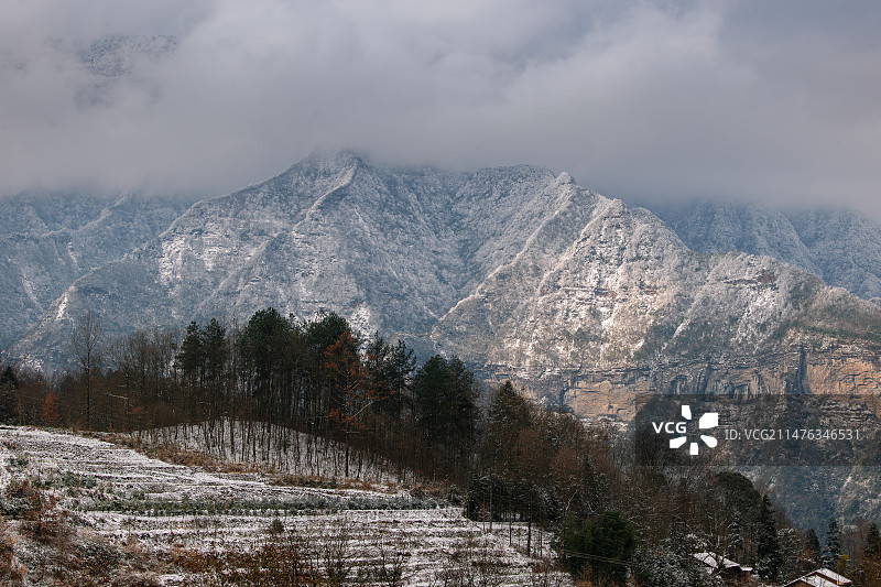 金佛山2024初雪图片素材