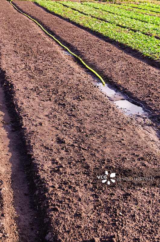 灌溉中的耕地图片素材