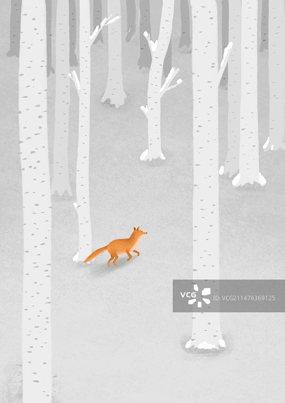 雪地狐狸图片素材