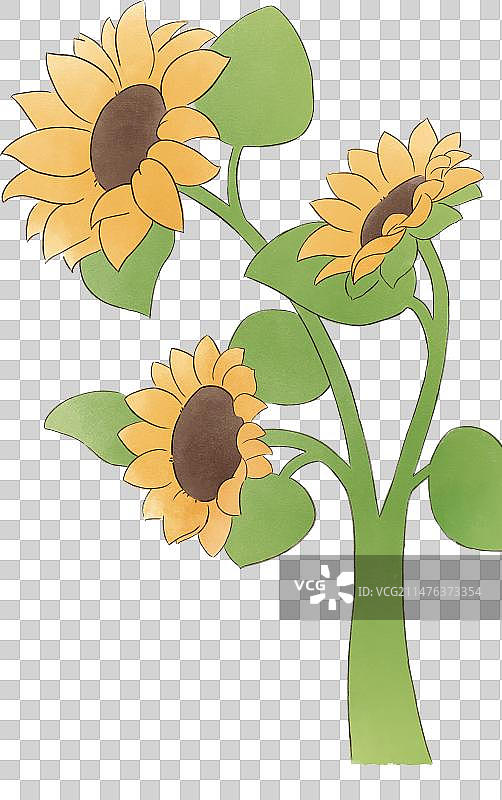 向日葵图片素材