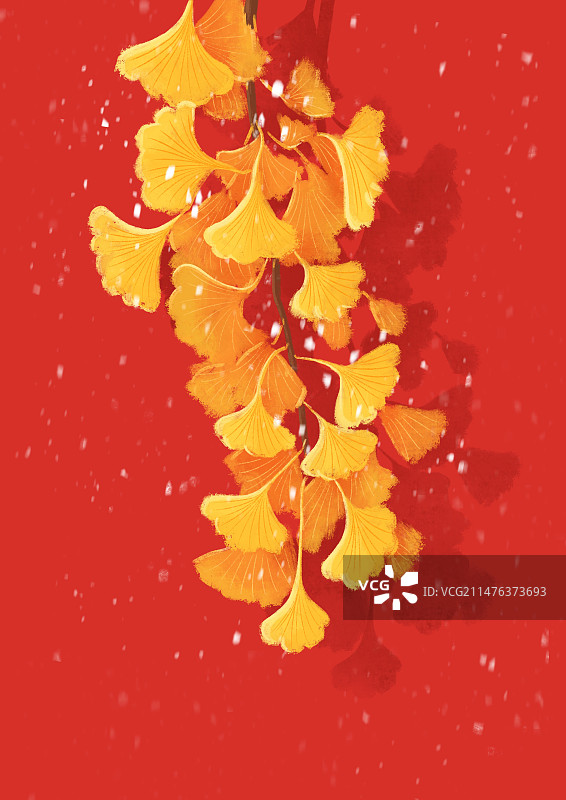 银杏叶图片素材