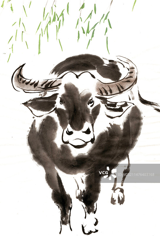 站立的牛图片素材