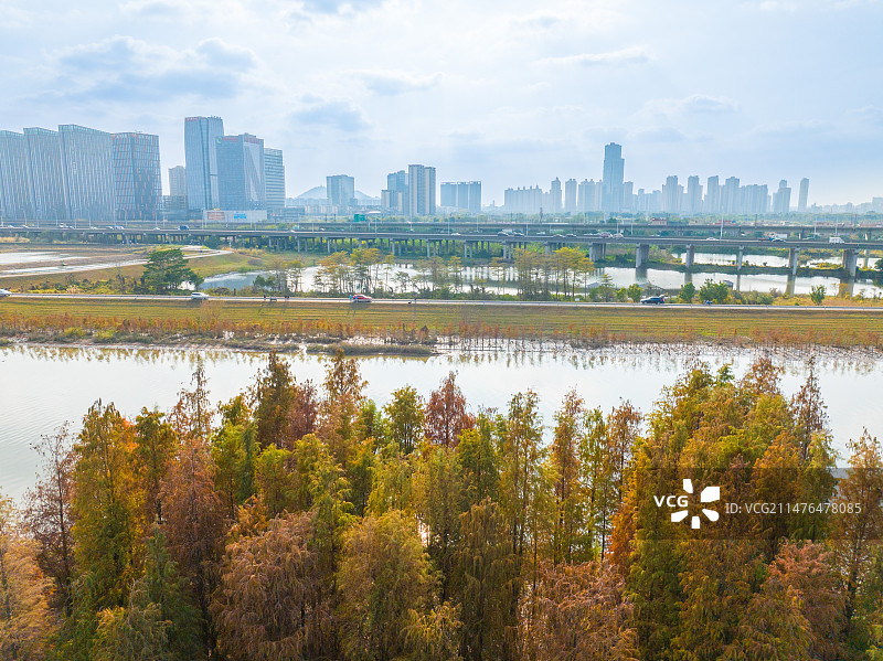 顺德大良街道智谷片区、云鹭片区李家沙水道段图片素材
