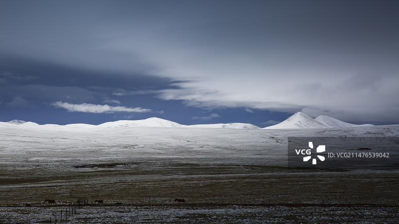 大雪中的唐古拉山图片素材