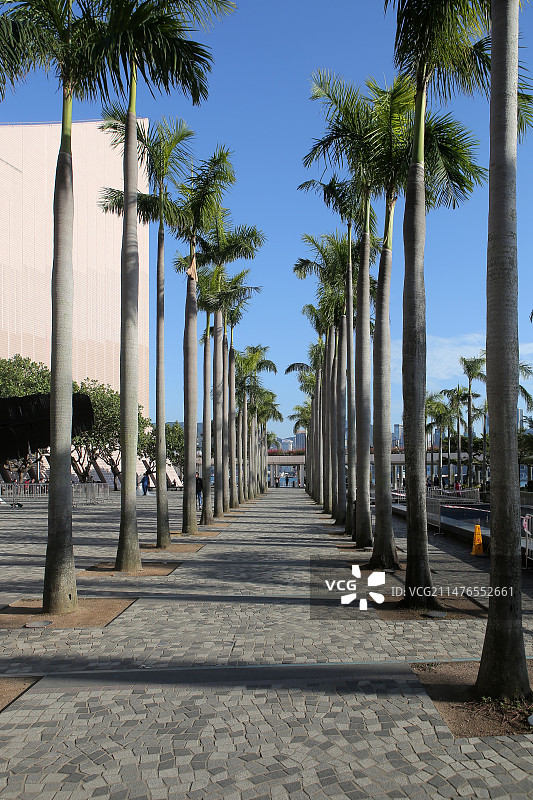 香港现代建筑素材图片素材