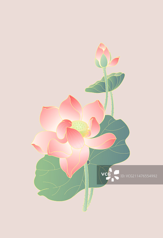 国风渐变夏日荷花图片素材