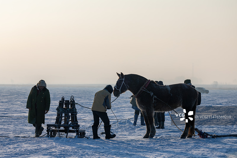 吉林松原查干湖冬捕图片素材