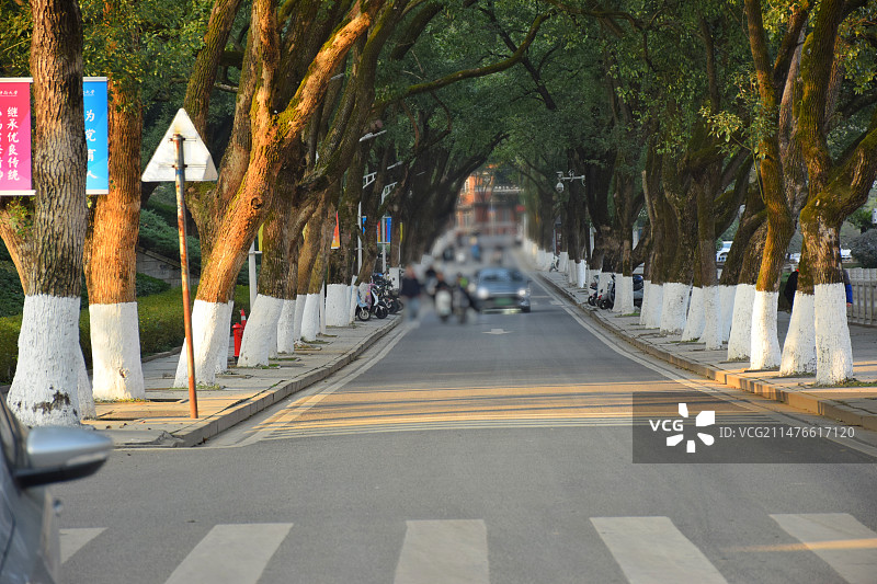 长沙中南大学(本部北校区)图片素材