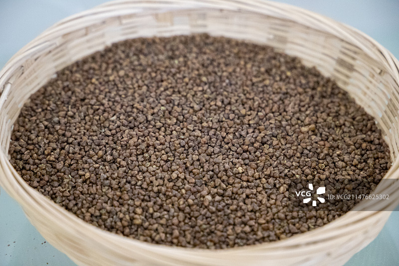 苦荞系列以及荞产品图片素材