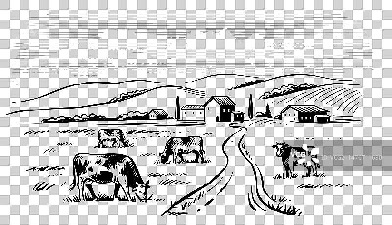 村庄奶牛素描田园风光图片素材