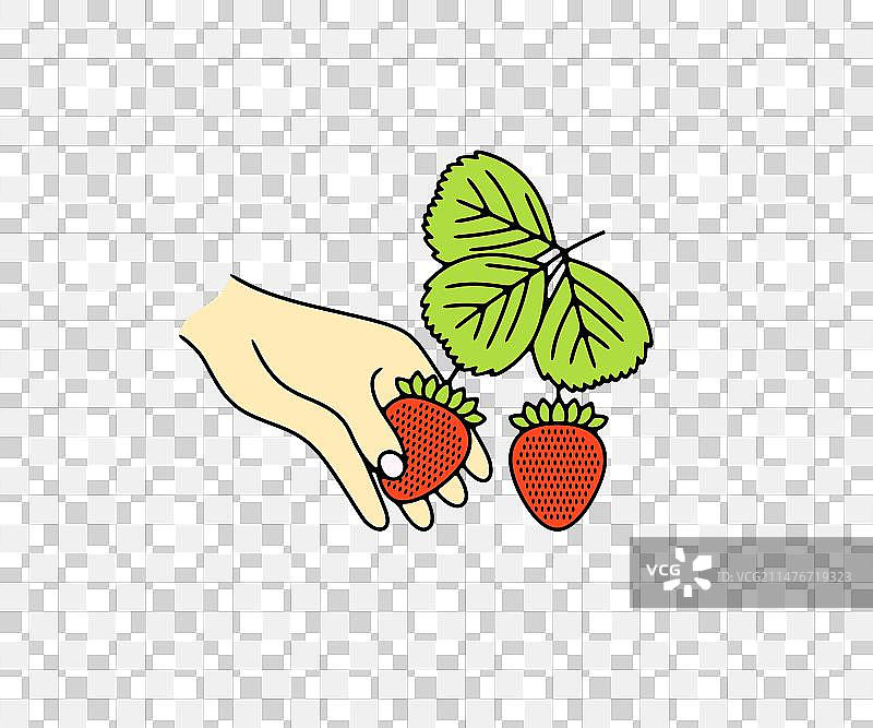 采摘草莓平面设计图片素材