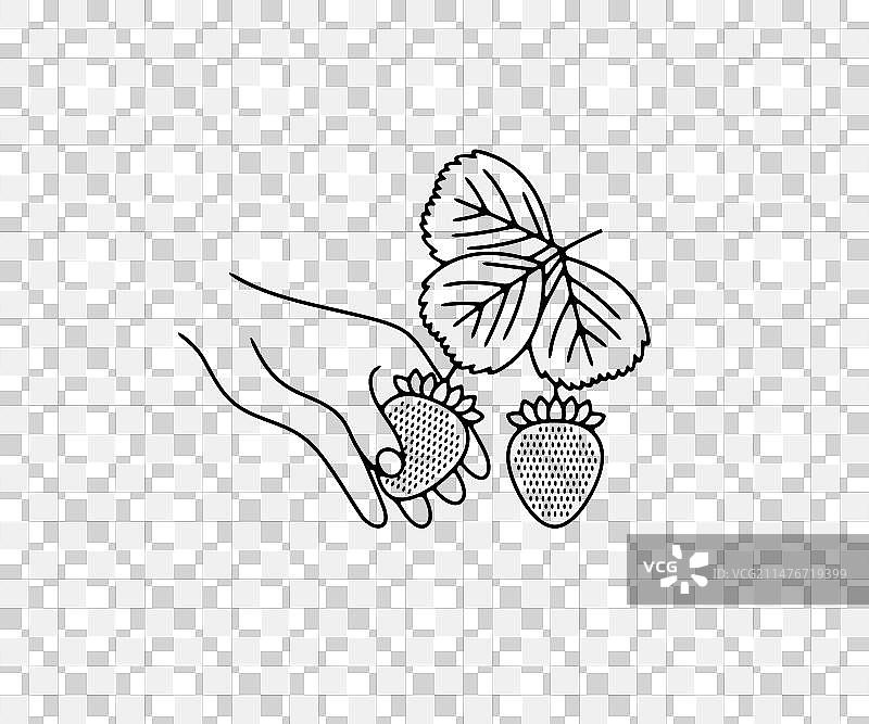 采摘草莓平面设计图片素材