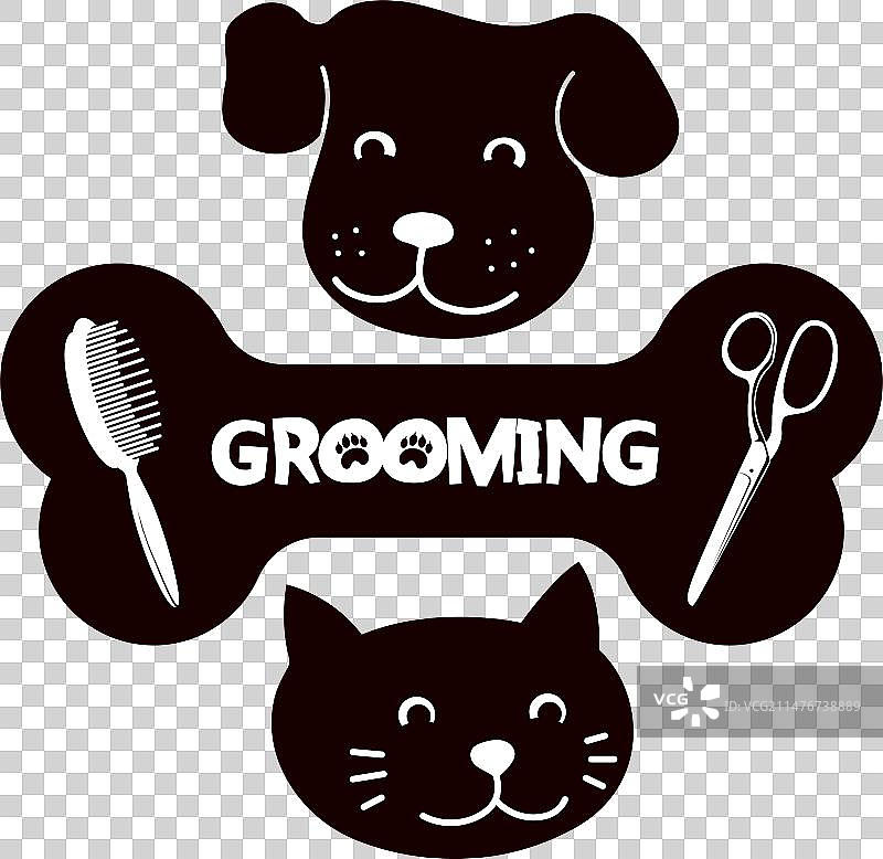狗 猫 剪刀和梳子 宠物美容图片素材