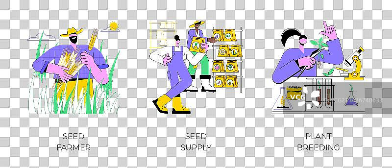 种子和植物育种图片素材