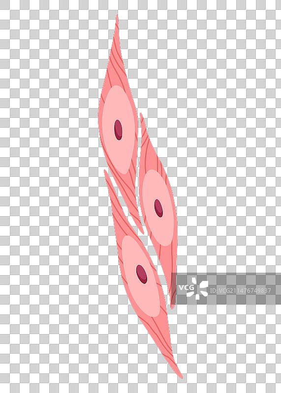 人体细胞类型医学生物图标图片素材