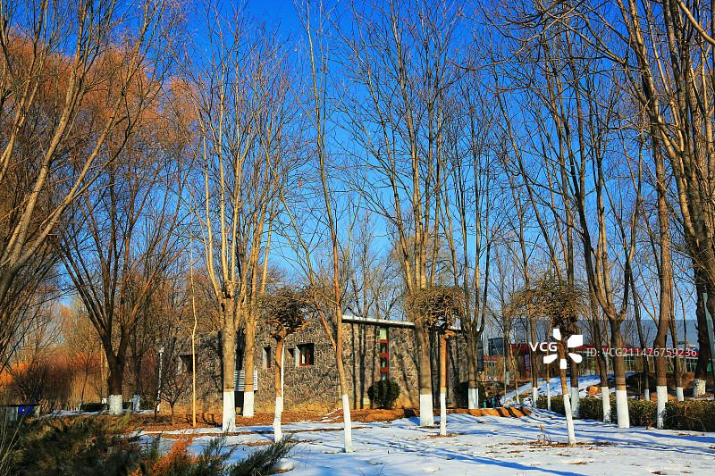 雄安新区雄县美景随拍图片素材