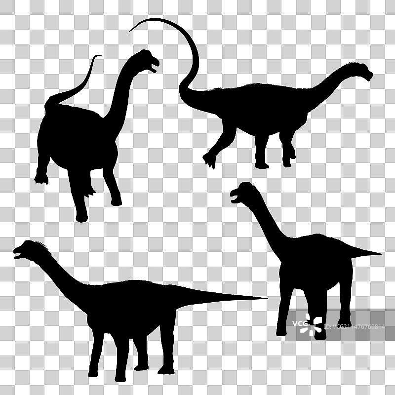 阿根廷龙恐龙轮廓图片素材