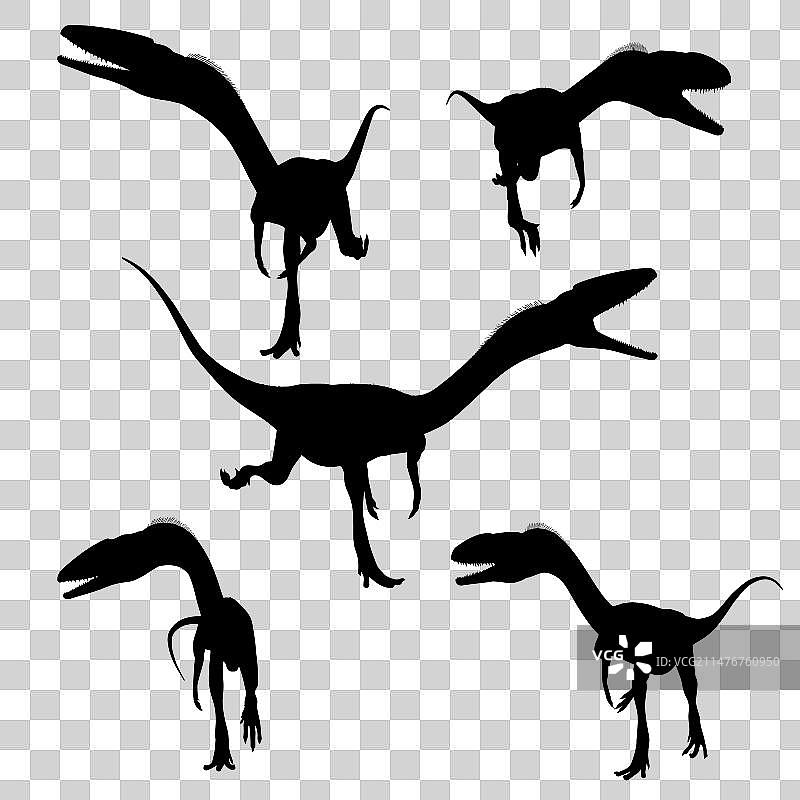 犹他盗龙恐龙轮廓图片素材