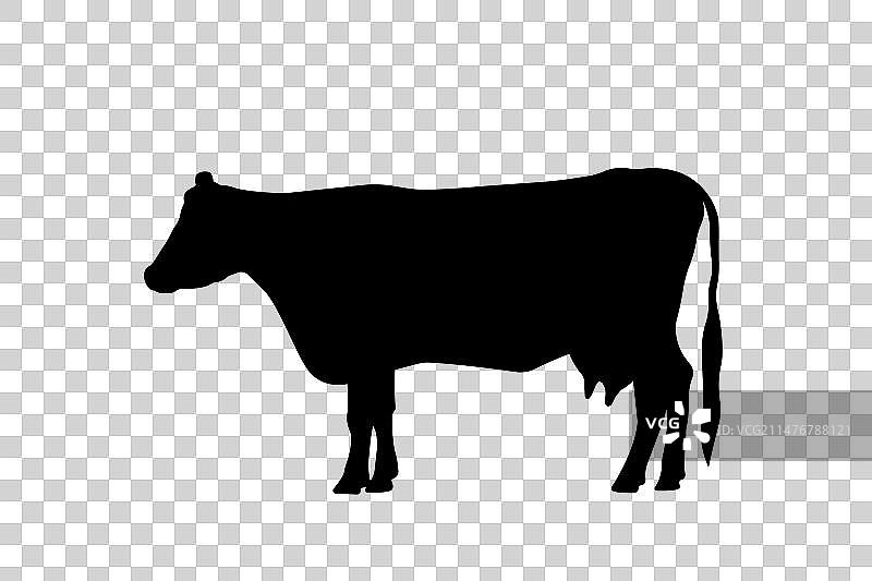 奶牛图标黑色剪影图片素材