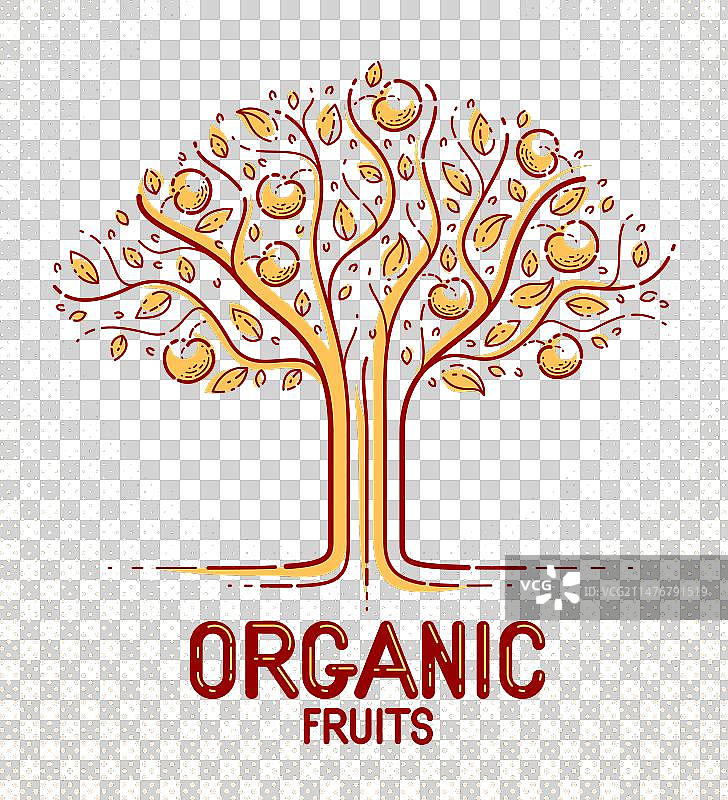 美丽的苹果果树天然有机农场图片素材