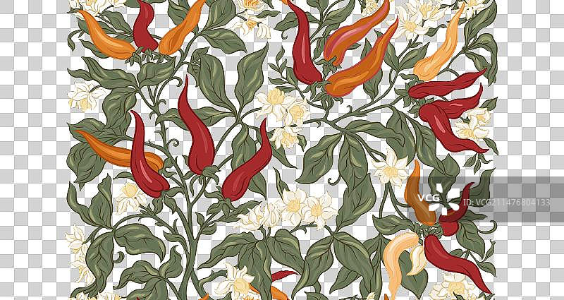 带果实和花朵的辣椒植物图片素材