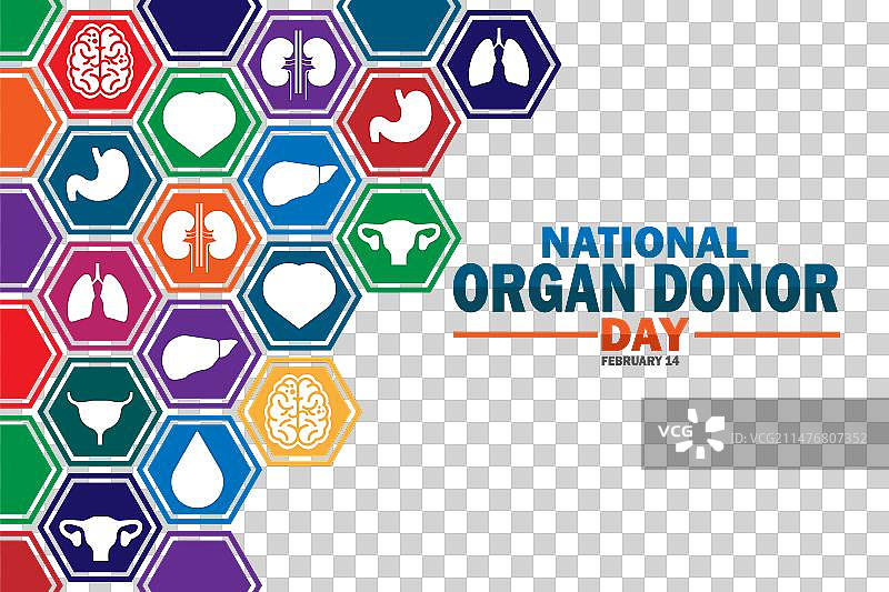 国家器官捐献日图片素材