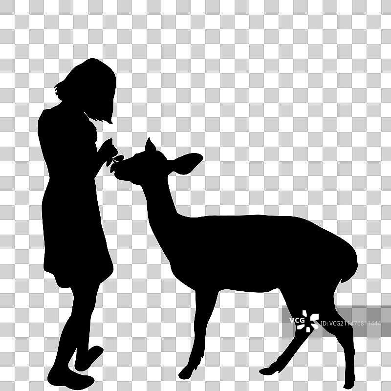 女孩喂鹿剪影图片素材