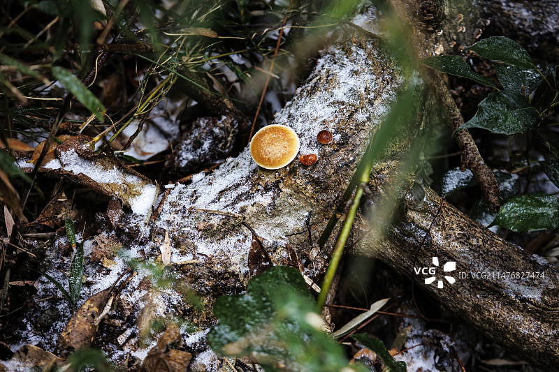 从化五指峰冰挂图片素材