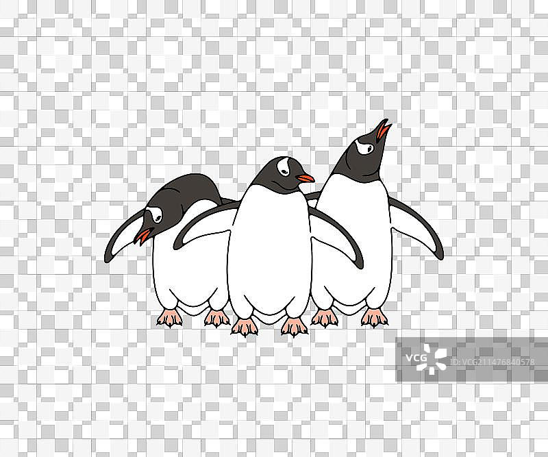 亚南极企鹅图案设计图片素材