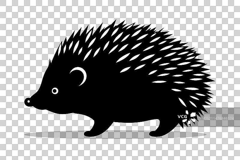 黑色刺猬轮廓剪影图片素材