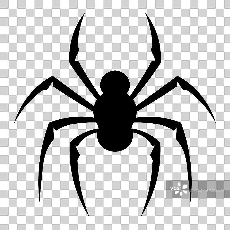 白色背景上的黑色蜘蛛图标图片素材