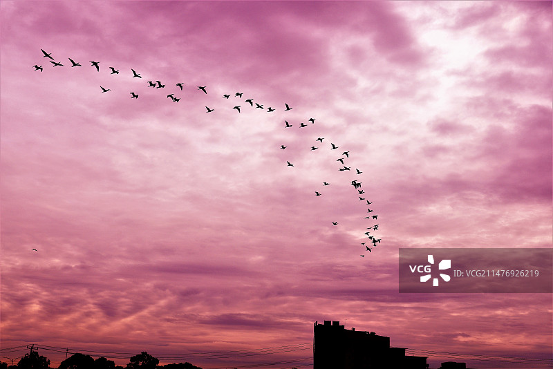 晚霞满天图片素材