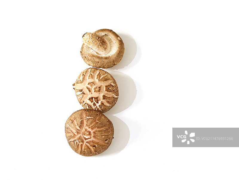 新鲜食材香菇的白底图图片素材