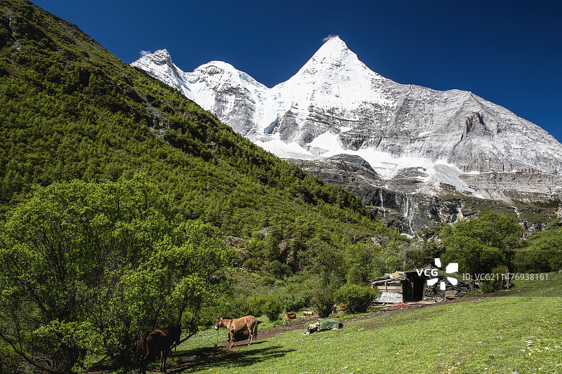 稻城亚丁风光，牛奶海，五色海，央迈勇，夏诺多吉，仙乃日图片素材