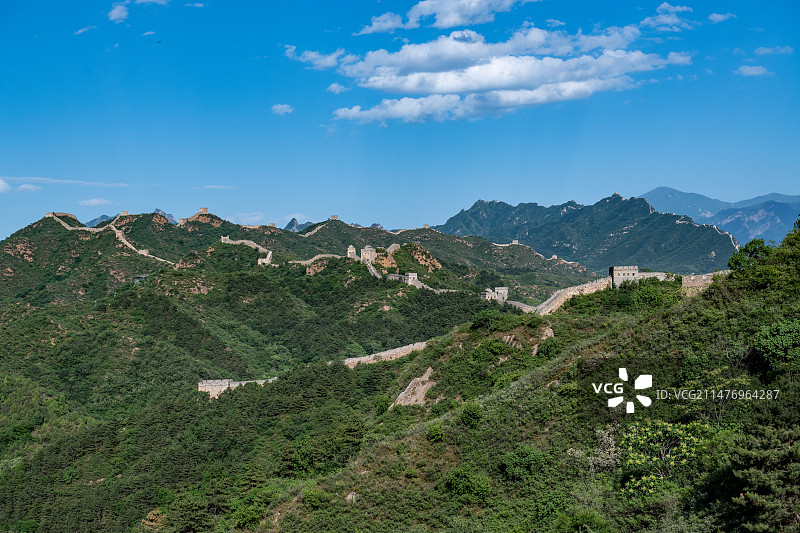 蓝天白云下的中国河北承德市金山岭长城夏季风光图片素材