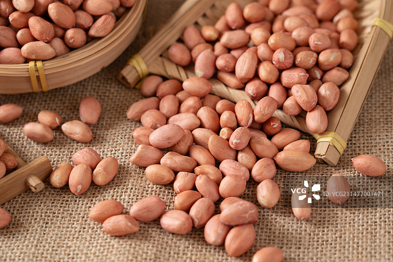 花生种子花生仁图片素材