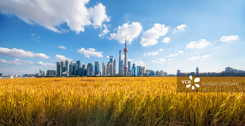 上海城市风光全景图片素材