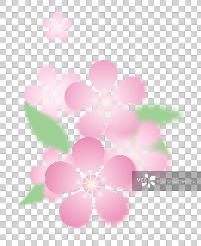 春天鲜花盛开弥散风渐变元素踏青赏景春日出游图片素材