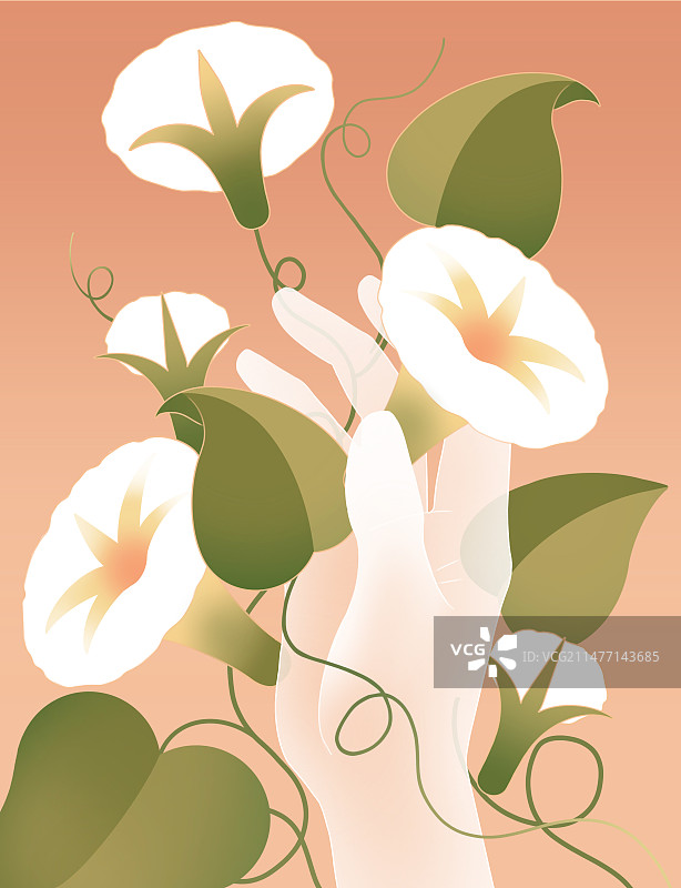 扁平风 渐变 弥散风 牵牛花插画图片素材