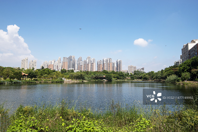 初秋的泉州晋江竹下公园图片素材