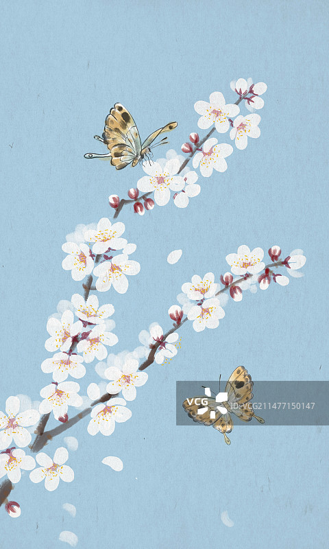 二十四节气-雨水-春暖花开图片素材